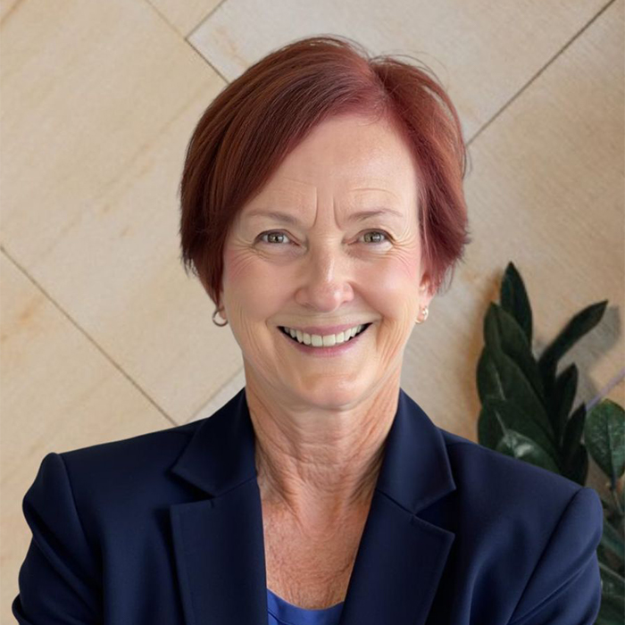 lori smith local government consultant